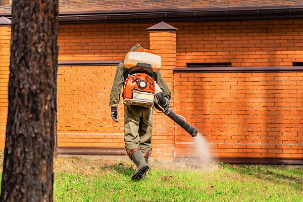 Trusted Mosquito Control service in Jupiter Farms, FL - Nex Pest Control